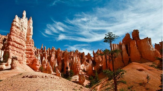 bryce-canyon-nw Tours Las Vegas to Bryce Canyon National Park